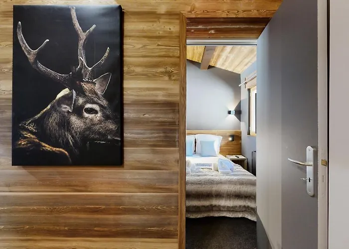 Nouveau ! Pied Des Pistes La Plagne