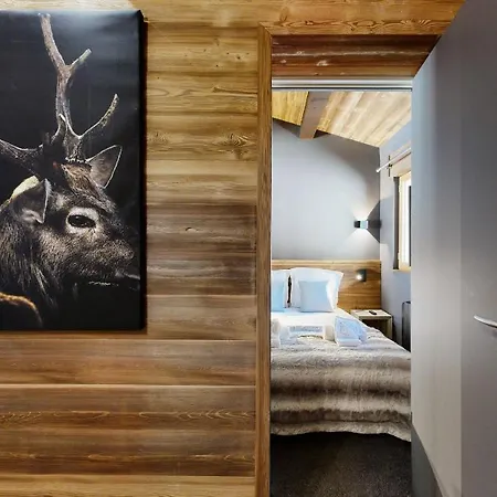 Nouveau ! Pied Des Pistes La Plagne